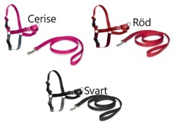 EasyWalk sele L
